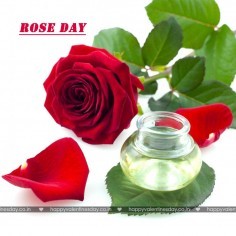 Rose Day