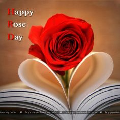 Rose Day – valentine day images free