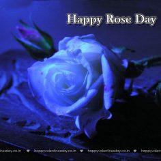 Rose Day