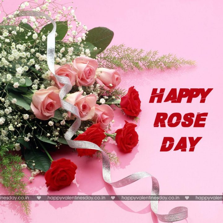 Rose Day