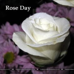 Rose Day – happy valentines day poem