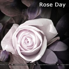 Rose Day – valentines card