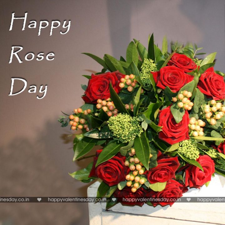 Rose Day