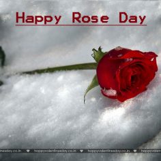 Rose Day – images for happy valentines day