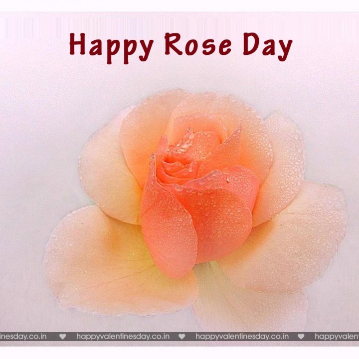 Rose Day – happy valentines day anime
