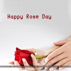 Rose Day – free e christmas cards
