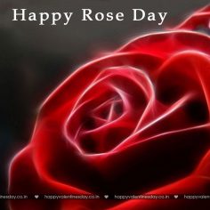 Rose Day – happy valentine day wishes