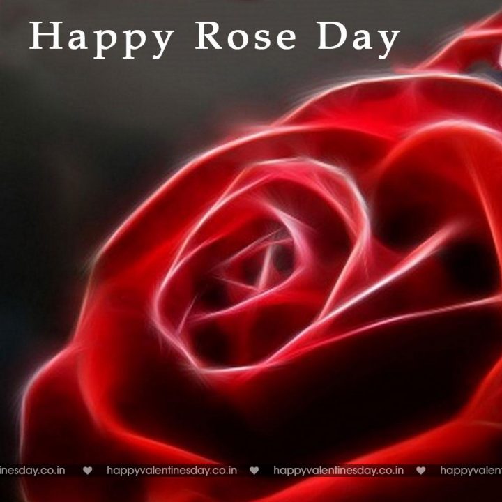 Rose Day – happy valentine day wishes