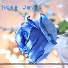 Rose Day – happy valentines day to friends