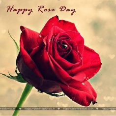 Rose Day – valentine day greetings