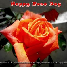 Rose Day – happy valentine day card
