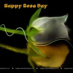 Rose Day – to and from valentines day cards