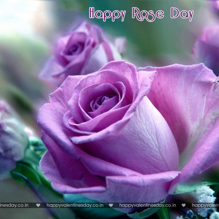 Rose Day – valentines day pictures cards