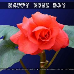 Rose Day – free valentines day ecards