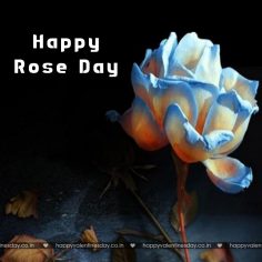 Rose Day – happy valentines day gifts