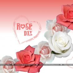 Rose Day