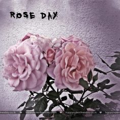 Rose Day – mother day cards
