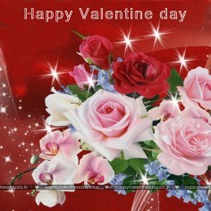 Happy valentines day meme