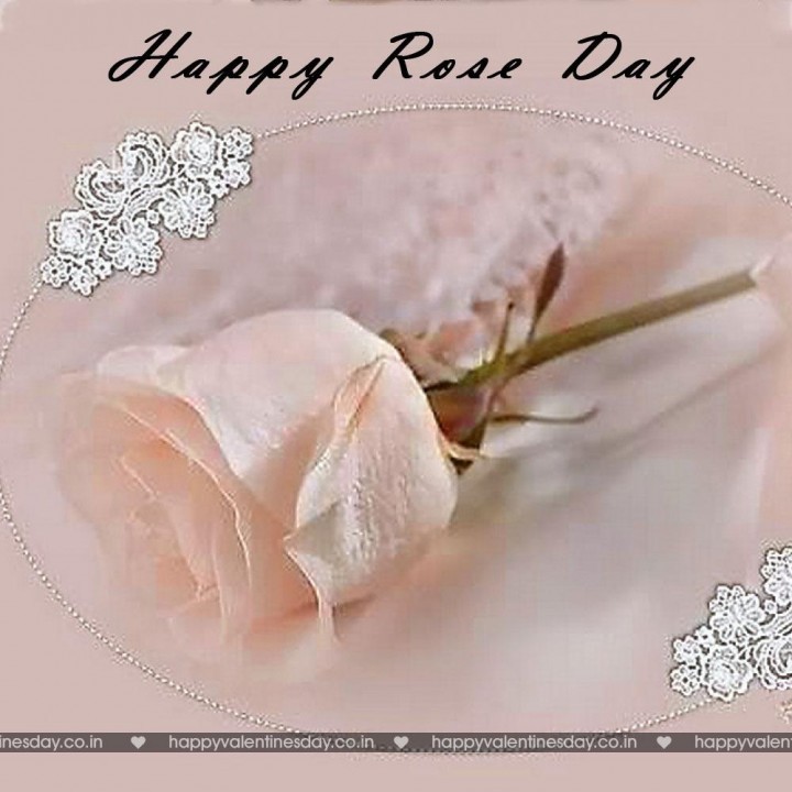 Rose Day – happy valentines day spanish