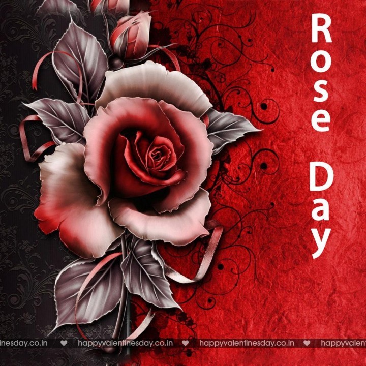 Rose Day – happy valentine day animation