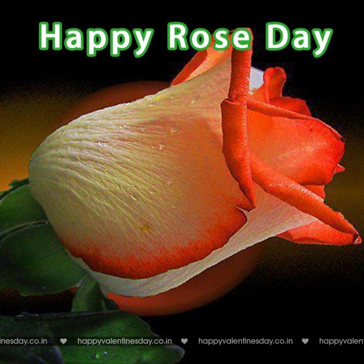 Rose Day – happy valentines day ecard