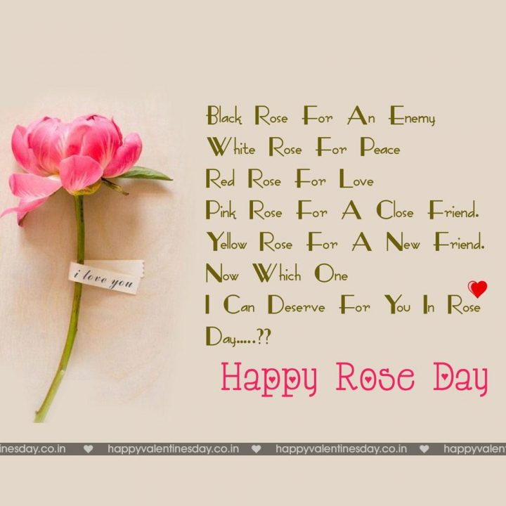 Rose Day