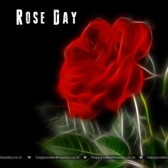 Rose Day – funny greeting cards