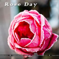 Rose Day – happy valentines cards