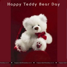 Teddy Day Valentine 102