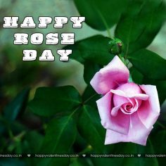 Rose Day – free e card