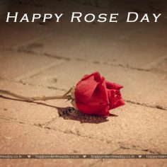 Rose Day – free printable cards