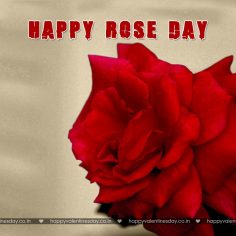 Rose Day – happy valentines day sms