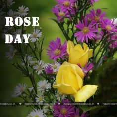 Rose Day