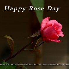 Rose Day – free happy valentines day cards