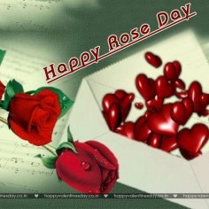 Rose Day