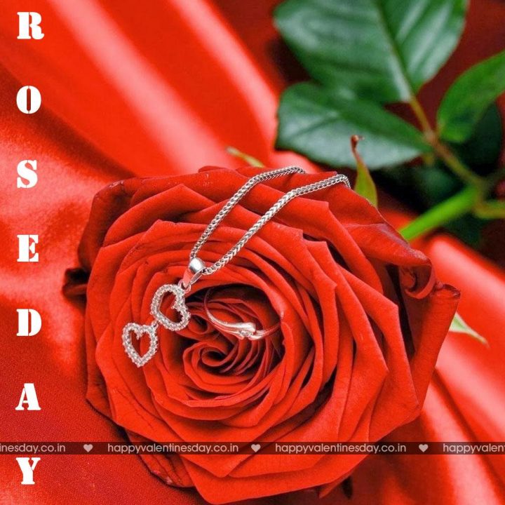 Rose Day