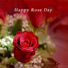 Rose Day – free musical ecards