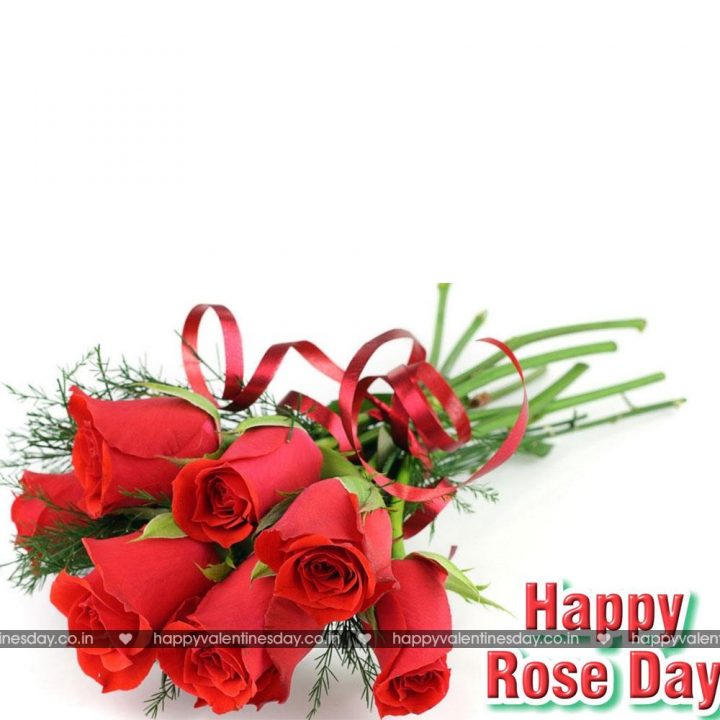 Rose Day