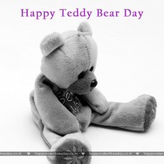 Teddy Day Valentine 120