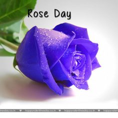 Rose Day – happy valentines day cards free