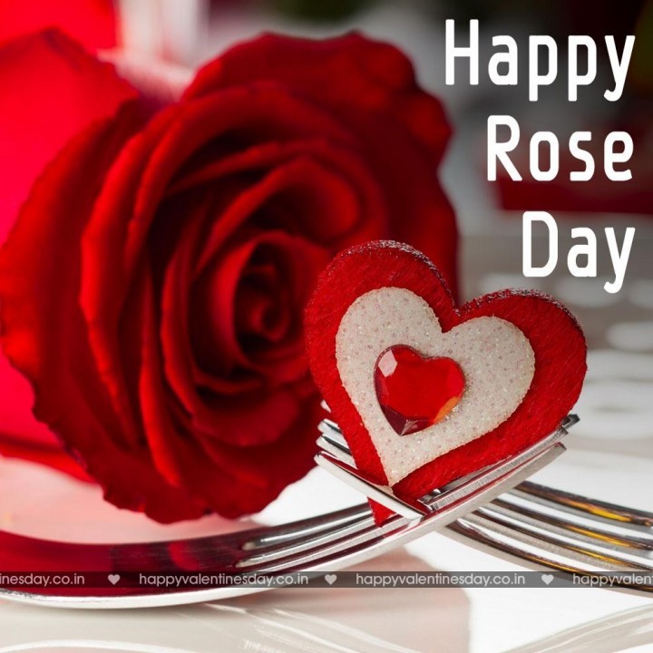 Rose Day