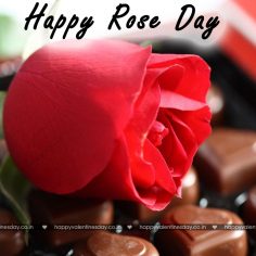 Rose Day