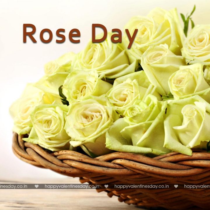 Rose Day