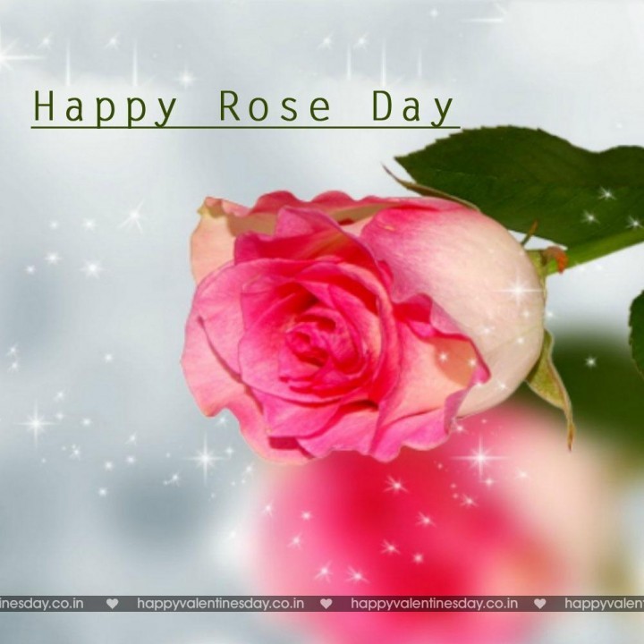 Rose Day – greeting cards free