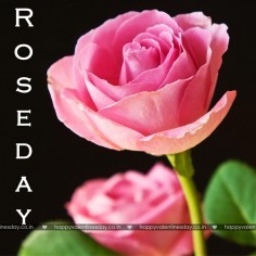 Rose Day