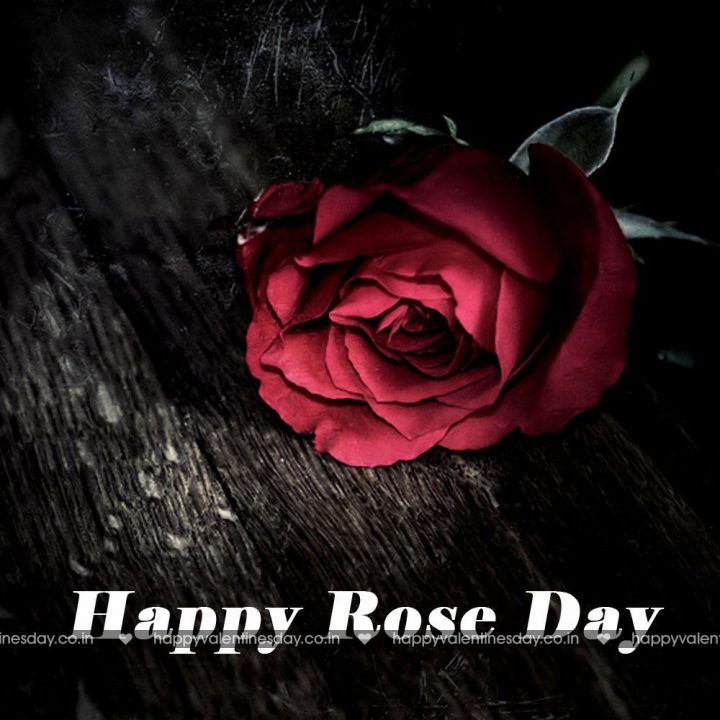 Rose Day