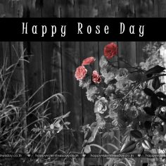 Rose Day – valentines e card