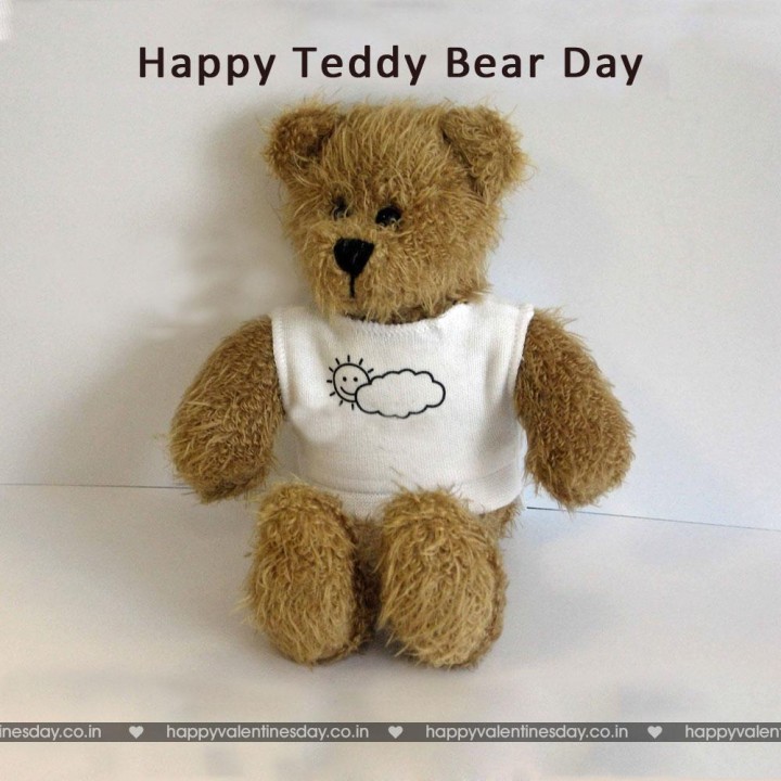 Teddy Day Valentine 75