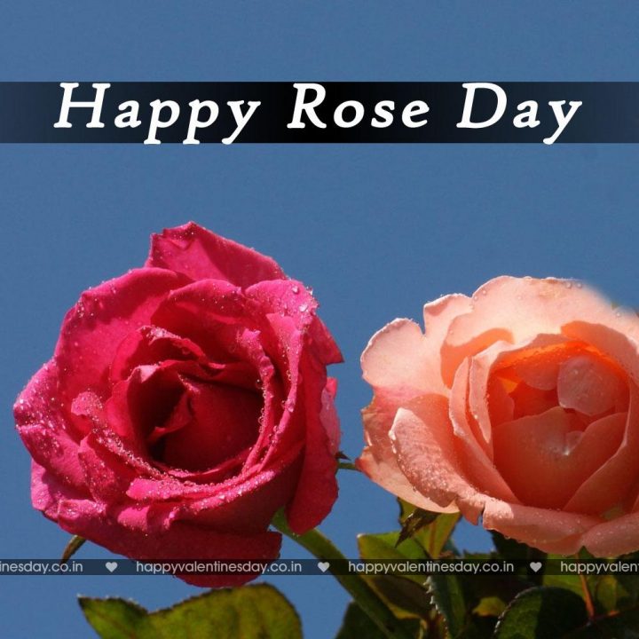 Rose Day