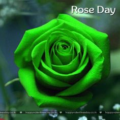 Rose Day – happy valentines day wallpapers